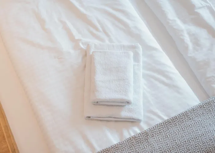 Designer 2br Flat Near Center & The Mosel River Daire Koblenz (Rhineland-Palatinate)